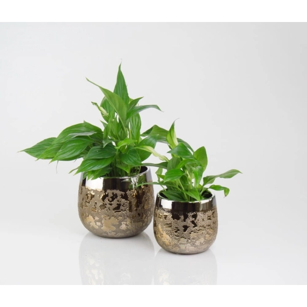 OSŁONKA CERAMICZNA STARE ZŁOTO 18CM